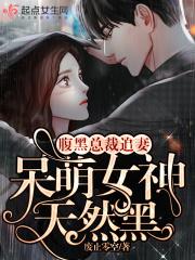 腹黑总裁追娇妻艾乐