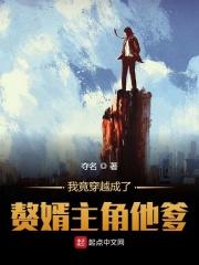 我成了赘婿文女主