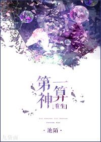 第一神算全文免费