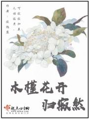 木槿花开下一句是什么